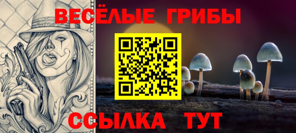 Псилоцибиновые грибы Psilocybine cubensis  купить  цена  Зерноград  Вход с VPN 