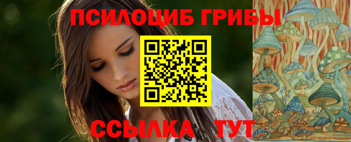 Псилоцибиновые грибы прущие грибы Зерноград