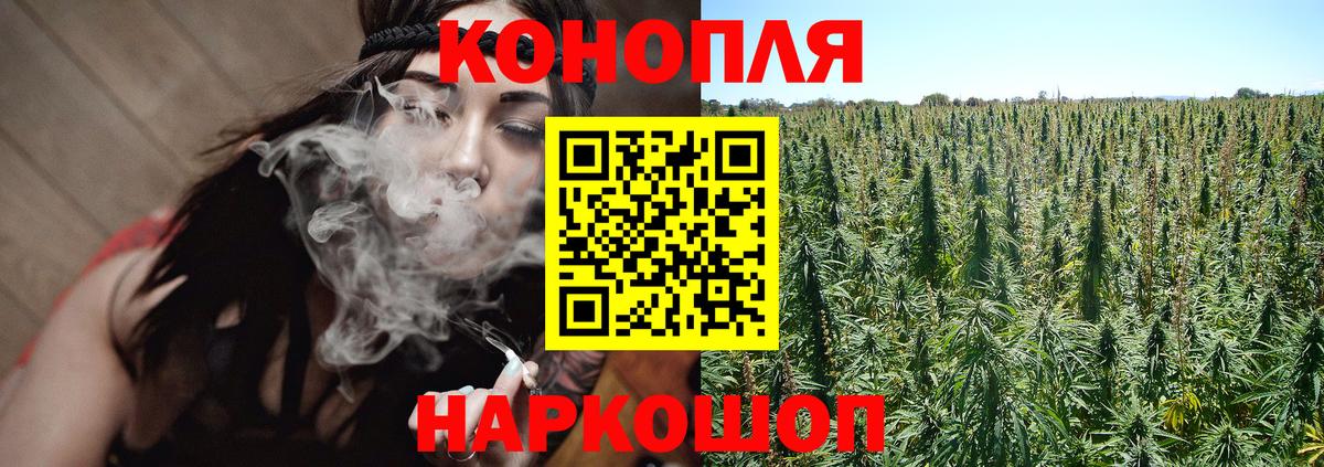 Шишки марихуана план Зерноград